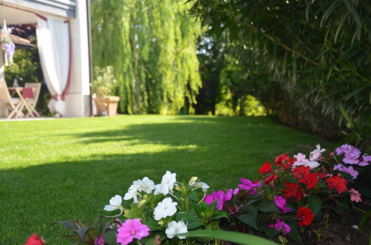 Asso Bed & Breakfast Manerba del Garda Εξωτερικό φωτογραφία