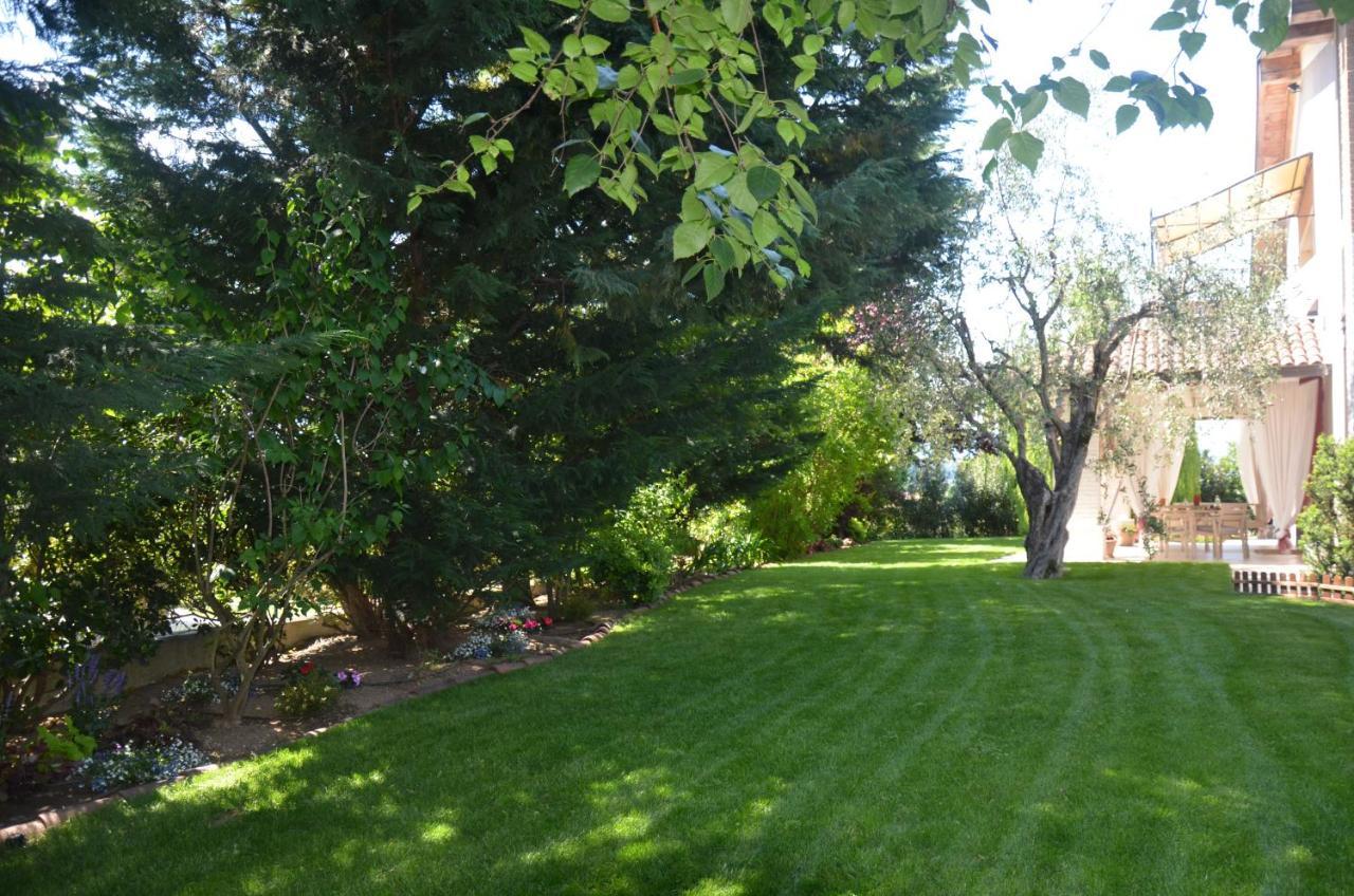Asso Bed & Breakfast Manerba del Garda Εξωτερικό φωτογραφία