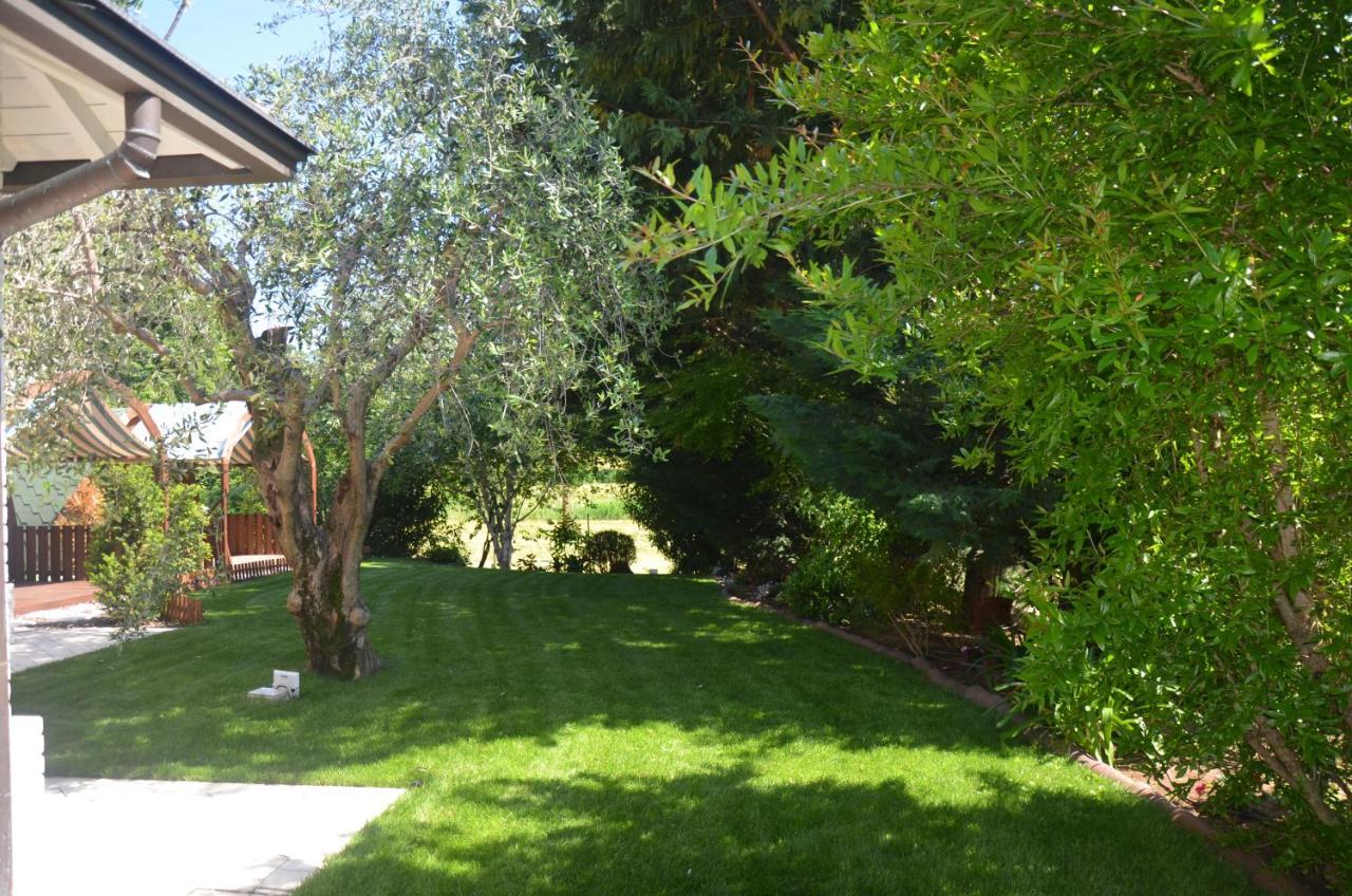 Asso Bed & Breakfast Manerba del Garda Εξωτερικό φωτογραφία